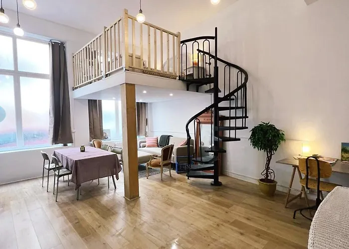Appartement Studio Loft Cosy Centre St Etienne