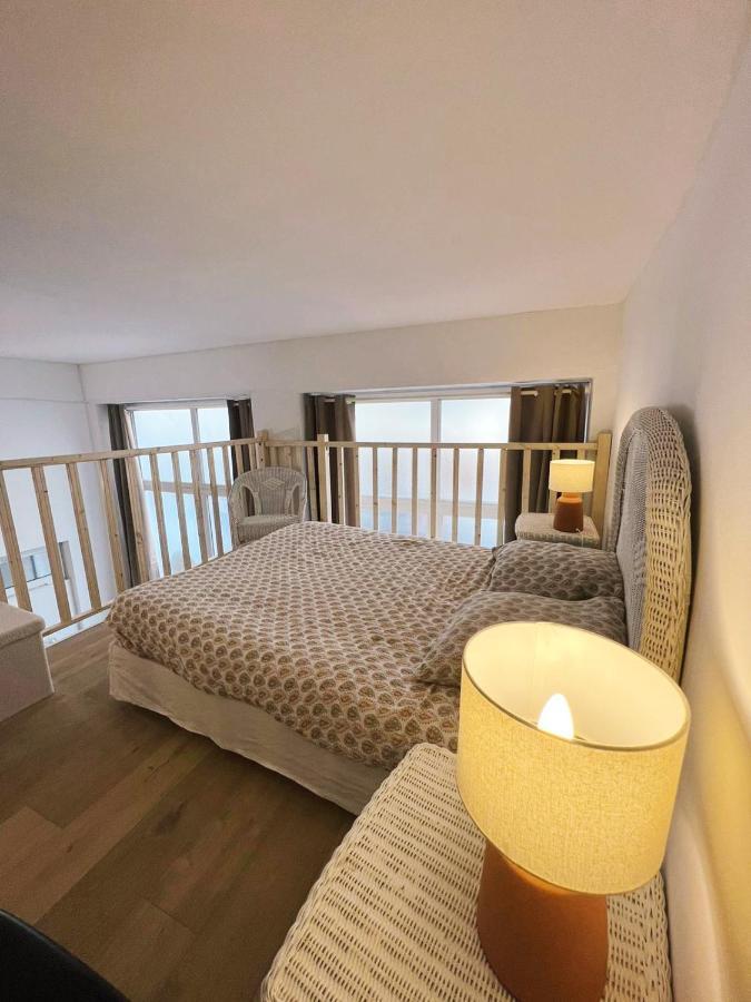 Loft Cosy Centre St Etienne Appartement *
