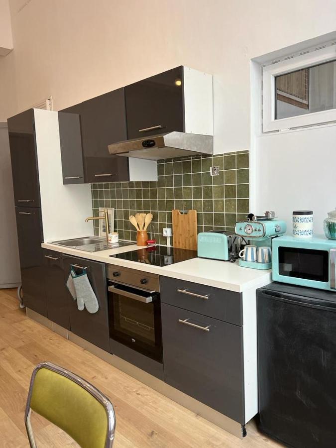 Appartement Loft Cosy Centre St Etienne *