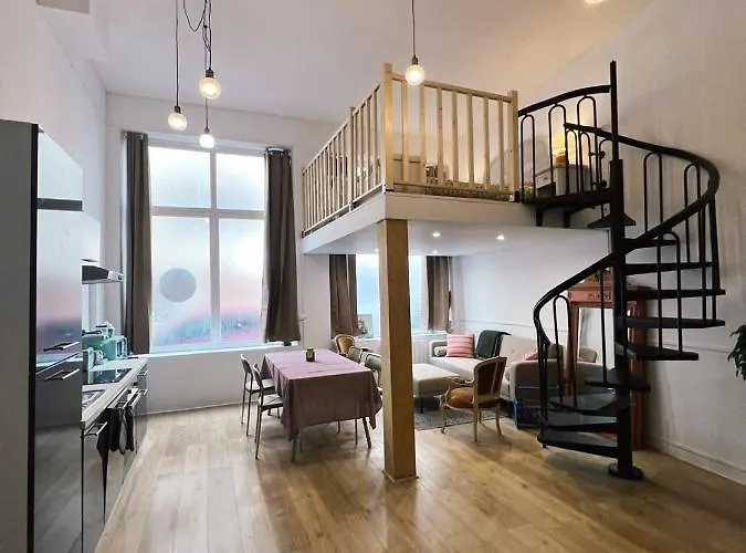 Appartement Studio Loft Cosy Centre St Etienne