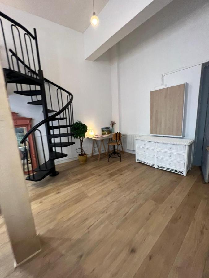 Apartment Loft Cosy Centre St Etienne